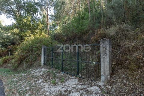 Helårsgrund i Folques, Coimbra, Folques - € 68.000 | Ref: ZMPT581761 - foto 4
