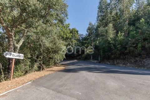 Helårsgrund i Folques, Coimbra, Folques - € 68.000 | Ref: ZMPT581761 - foto 5