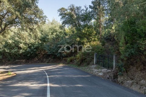 Helårsgrund i Folques, Coimbra, Folques - € 68.000 | Ref: ZMPT581761 - foto 6