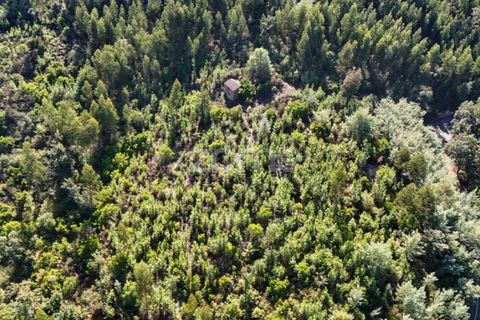 Helårsgrund i Folques, Coimbra, Folques - € 68.000 | Ref: ZMPT581761 - foto 9