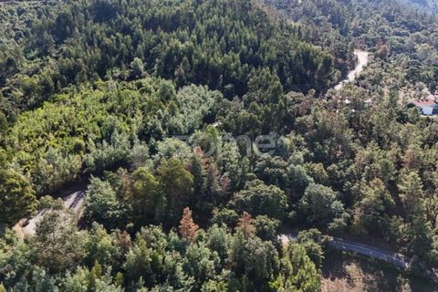 Helårsgrund i Folques, Coimbra, Folques - € 68.000 | Ref: ZMPT581761 - foto 10