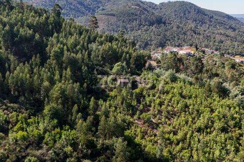 Helårsgrund i Folques, Coimbra, Folques - € 68.000 | Ref: ZMPT581761 - foto 12
