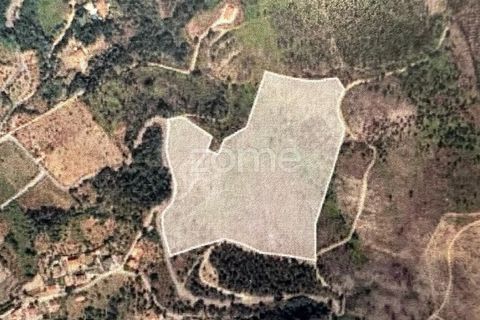 Helårsgrund i Folques, Coimbra, Folques - € 68.000 | Ref: ZMPT581761 - foto 13