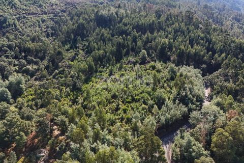 Helårsgrund i Folques, Coimbra, Folques - € 68.000 | Ref: ZMPT581761 - foto 17