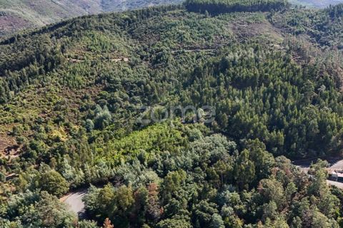 Helårsgrund i Folques, Coimbra, Folques - € 68.000 | Ref: ZMPT581761 - foto 19