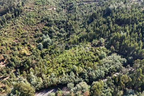 Helårsgrund i Folques, Coimbra, Folques - € 68.000 | Ref: ZMPT581761 - foto 20