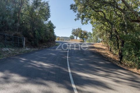 Helårsgrund i Folques, Coimbra, Folques - € 68.000 | Ref: ZMPT581761 - foto 8