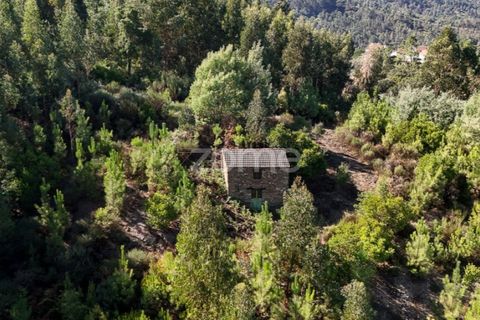 Helårsgrund i Folques, Coimbra, Folques - € 68.000 | Ref: ZMPT581761 - foto 11