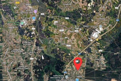 Erhvervsejendom i Arouca, Aveiro, Arouca - € 105.000 | Ref: ZMPT582284 - foto 12