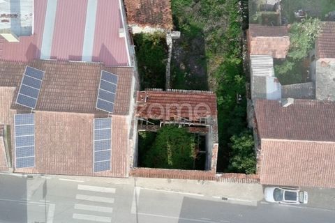 Villa a Cantanhede, Coimbra, Cantanhede - € 49.900 | Ref: ZMPT581831 - foto 2