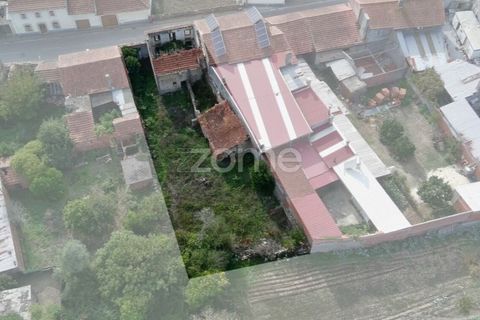 Villa a Cantanhede, Coimbra, Cantanhede - € 49.900 | Ref: ZMPT581831 - foto 4