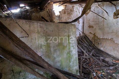 Villa a Cantanhede, Coimbra, Cantanhede - € 49.900 | Ref: ZMPT581831 - foto 11