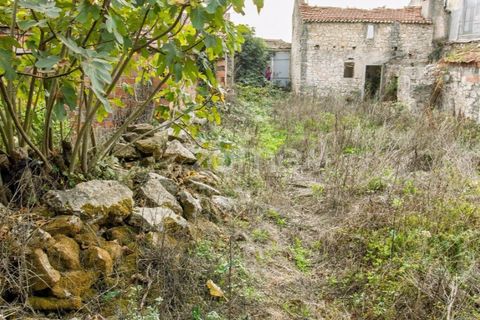 Villa a Cantanhede, Coimbra, Cantanhede - € 49.900 | Ref: ZMPT581831 - foto 12