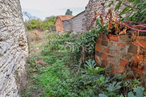 Villa a Cantanhede, Coimbra, Cantanhede - € 49.900 | Ref: ZMPT581831 - foto 14