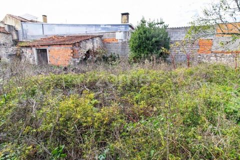 Villa a Cantanhede, Coimbra, Cantanhede - € 49.900 | Ref: ZMPT581831 - foto 15