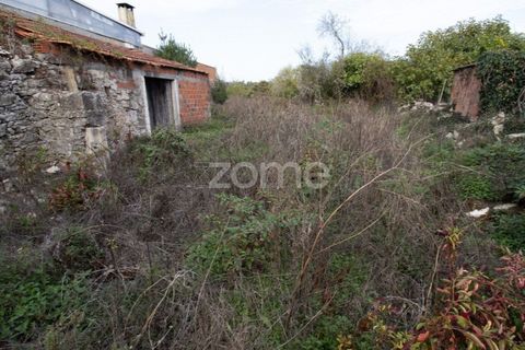 Villa a Cantanhede, Coimbra, Cantanhede - € 49.900 | Ref: ZMPT581831 - foto 21