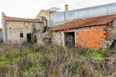 Villa a Cantanhede, Coimbra, Cantanhede - € 49.900 | Ref: ZMPT581831 - foto 23