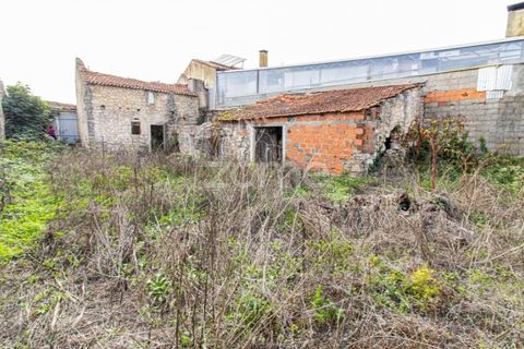 Villa a Cantanhede, Coimbra, Cantanhede - € 49.900 | Ref: ZMPT581831 - foto 24