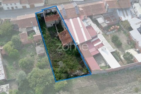 Villa a Cantanhede, Coimbra, Cantanhede - € 49.900 | Ref: ZMPT581831 - foto 25
