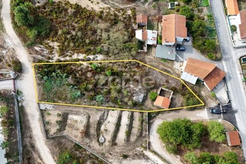Tomt i Carregal do Sal, Viseu, Carregal do Sal - € 33 000 | Ref: ZMPT581904 - foto 3