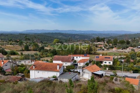 Tomt i Carregal do Sal, Viseu, Carregal do Sal - € 33 000 | Ref: ZMPT581904 - foto 4