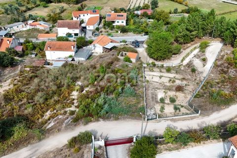 Tomt i Carregal do Sal, Viseu, Carregal do Sal - € 33 000 | Ref: ZMPT581904 - foto 6