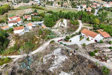 Tomt i Carregal do Sal, Viseu, Carregal do Sal - € 33 000 | Ref: ZMPT581904 - foto 9