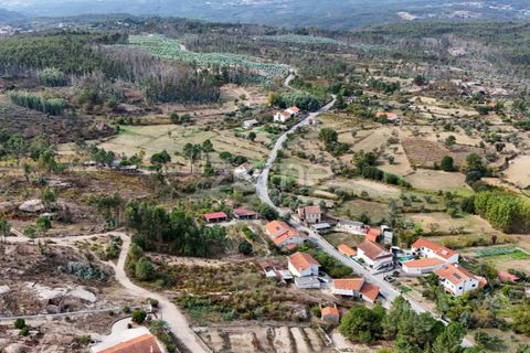 Tomt i Carregal do Sal, Viseu, Carregal do Sal - € 33 000 | Ref: ZMPT581904 - foto 13