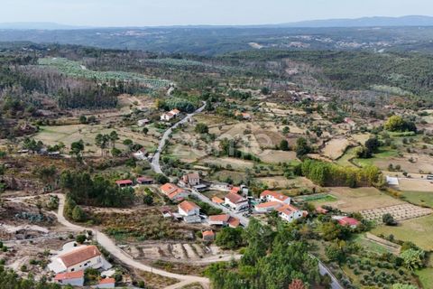 Tomt i Carregal do Sal, Viseu, Carregal do Sal - € 33 000 | Ref: ZMPT581904 - foto 14
