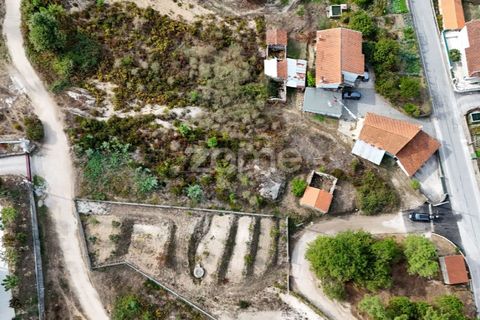Tomt i Carregal do Sal, Viseu, Carregal do Sal - € 33 000 | Ref: ZMPT581904 - foto 15