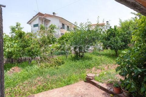 Villa i Coimbra, Coimbra, Coimbra - € 90.000 | Ref: ZMPT581718 - foto 25