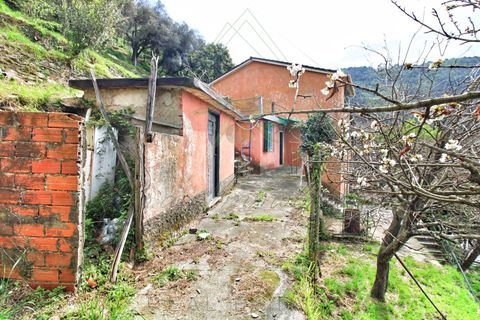 Villa a Rapallo, Genoa, Rapallo - € 160.000 | Ref: 664DV-1 - foto 4