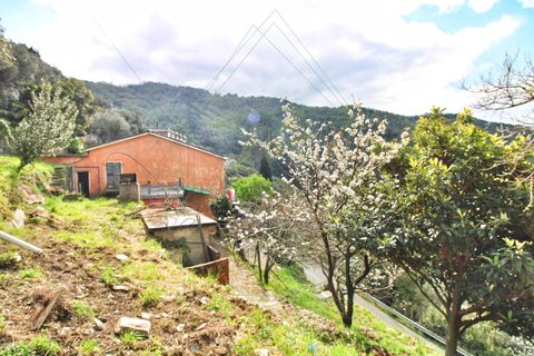 Villa a Rapallo, Genoa, Rapallo - € 160.000 | Ref: 664DV-1 - foto 6