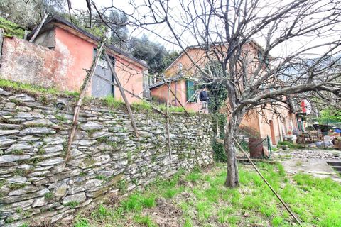 Villa a Rapallo, Genoa, Rapallo - € 160.000 | Ref: 664DV-1 - foto 9
