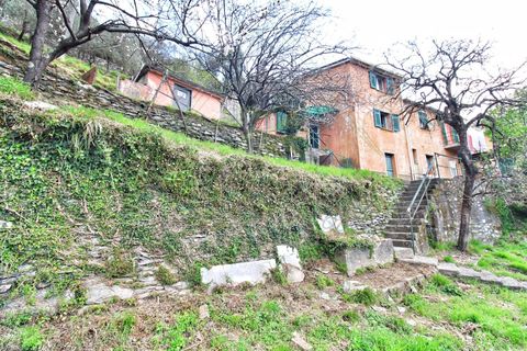 Villa a Rapallo, Genoa, Rapallo - € 160.000 | Ref: 664DV-1 - foto 10