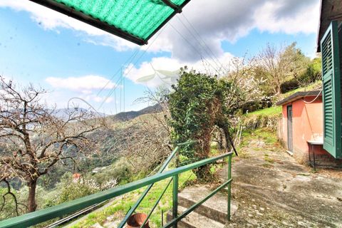 Villa a Rapallo, Genoa, Rapallo - € 160.000 | Ref: 664DV-1 - foto 29