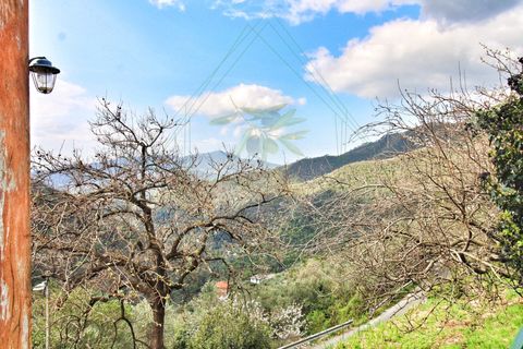 Villa a Rapallo, Genoa, Rapallo - € 160.000 | Ref: 664DV-1 - foto 30