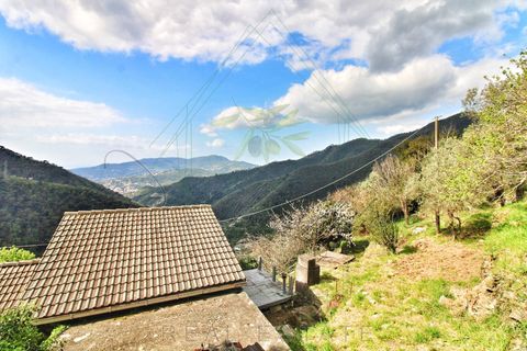 Villa a Rapallo, Genoa, Rapallo - € 160.000 | Ref: 664DV-1 - foto 32