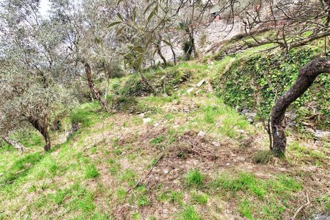 Villa a Rapallo, Genoa, Rapallo - € 160.000 | Ref: 664DV-1 - foto 33