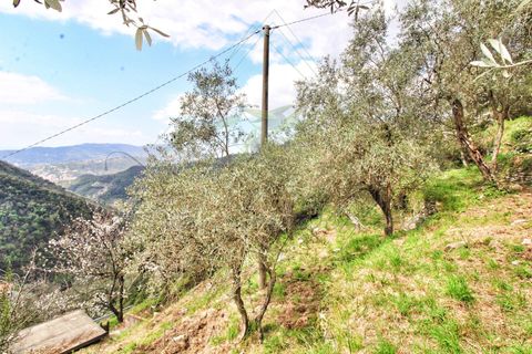 Villa a Rapallo, Genoa, Rapallo - € 160.000 | Ref: 664DV-1 - foto 34