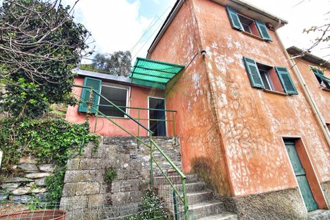 Villa a Rapallo, Genoa, Rapallo - € 160.000 | Ref: 664DV-1 - foto 35