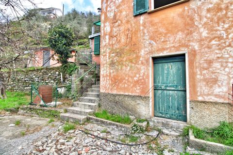 Villa a Rapallo, Genoa, Rapallo - € 160.000 | Ref: 664DV-1 - foto 36