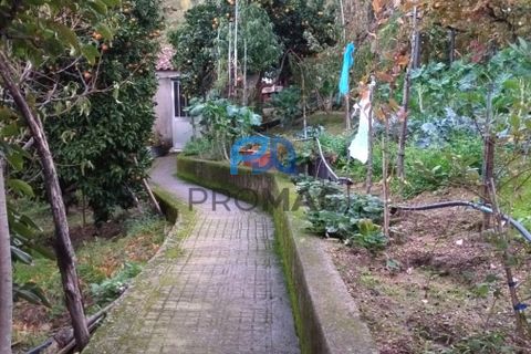Villa i Resende, Viseu, Resende - € 230.000 | Ref: #253 - foto 19