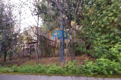 Villa i Resende, Viseu, Resende - € 230.000 | Ref: #253 - foto 41
