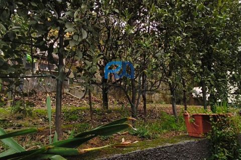 Villa i Resende, Viseu, Resende - € 230.000 | Ref: #253 - foto 42