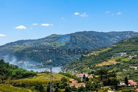 Villa i Resende, Viseu, Resende - € 230.000 | Ref: #253 - foto 43