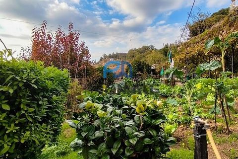 Villa i Resende, Viseu, Resende - € 230.000 | Ref: #253 - foto 44