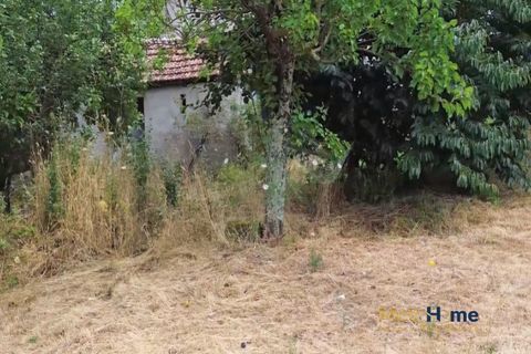 Villa i Cinfaes, Viseu, Cinfaes - € 95.000 | Ref: MH2543 - foto 17