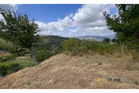 Villa i Cinfaes, Viseu, Cinfaes - € 95.000 | Ref: MH2543 - foto 20