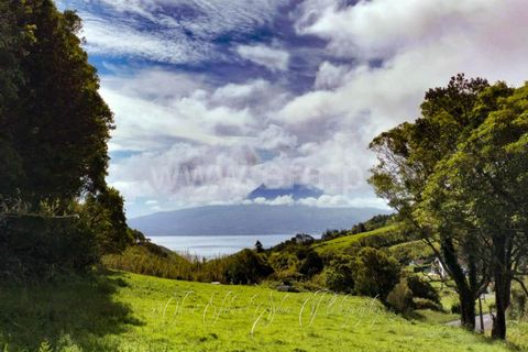 Terra a Horta, Faial, Horta - € 43.000 | Ref: 374250079 - foto 2
